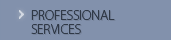 PROFESSIONAL SERVICES